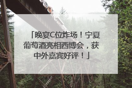 晚宴C位炸场！宁夏葡萄酒亮相西博会，获中外嘉宾好评！